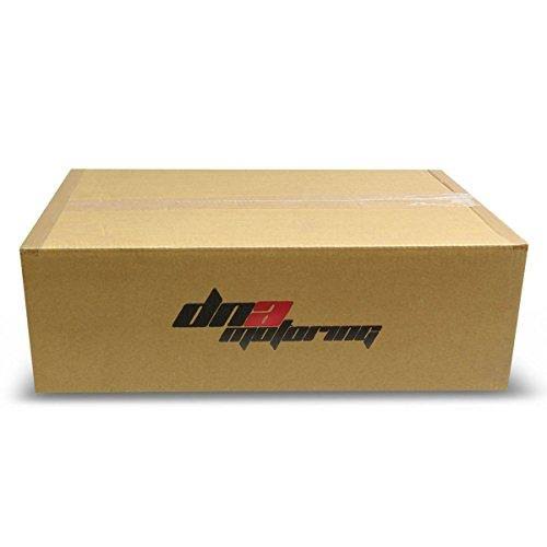 Stainless Steel Dual Muffler Catback Exhaust System B564120