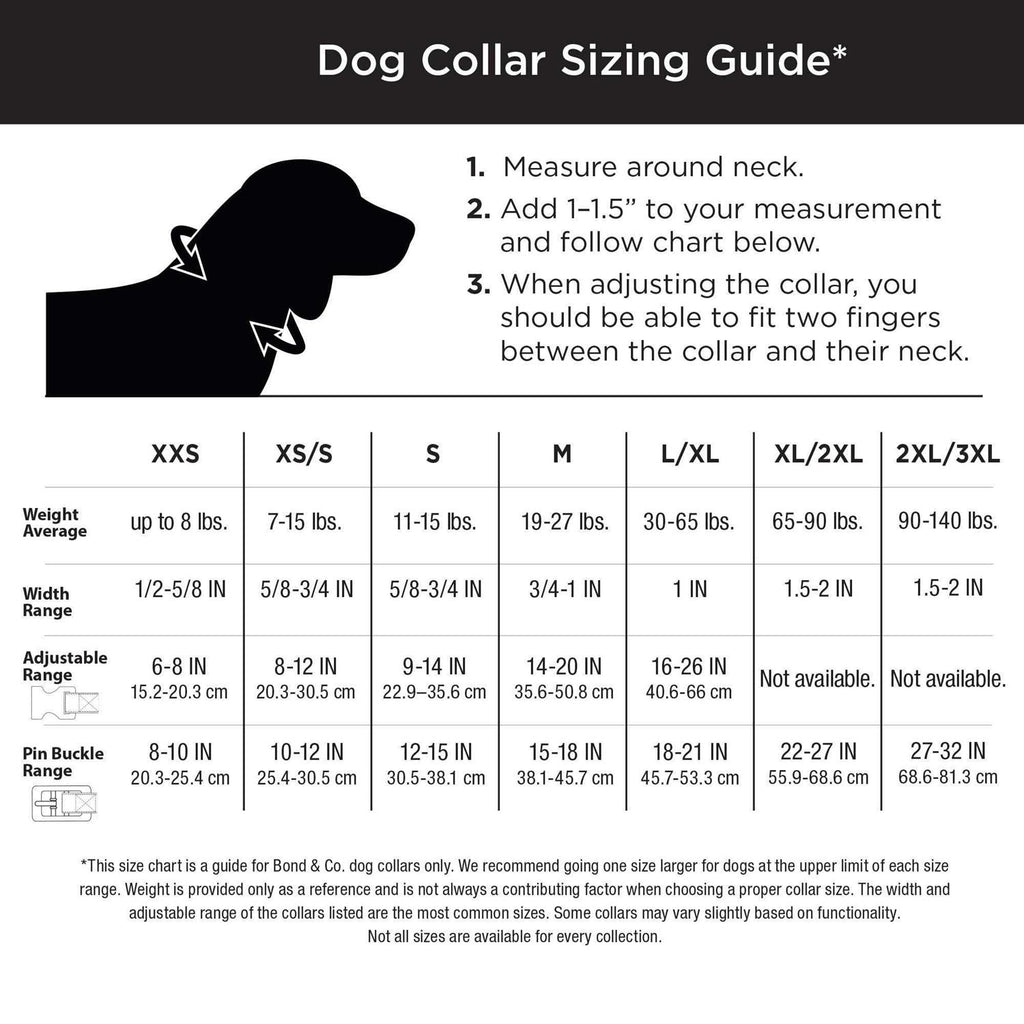 Bling Dog Collar S8535