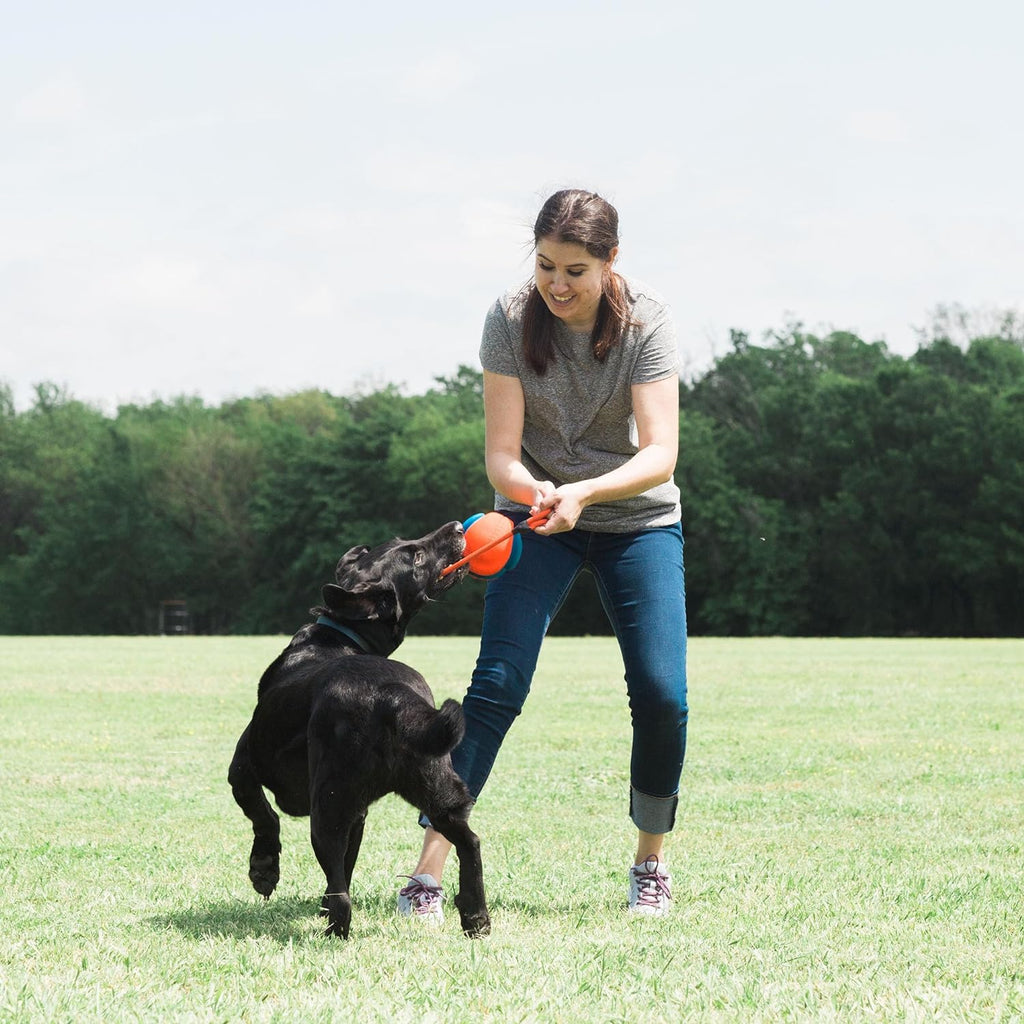 Rope Fetch Dog Toy Y2830
