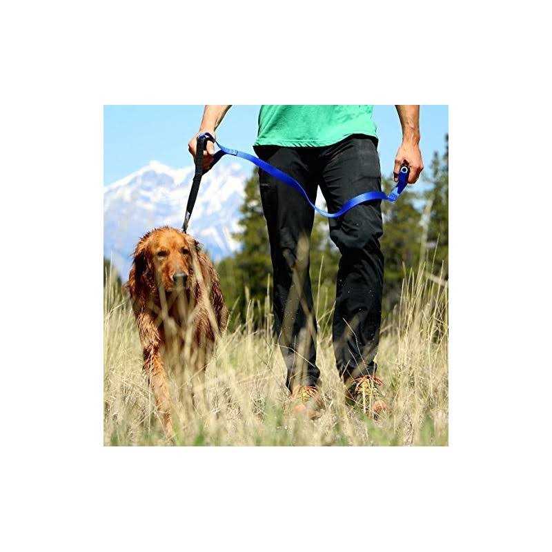 Heavy Duty Dog Leash L599