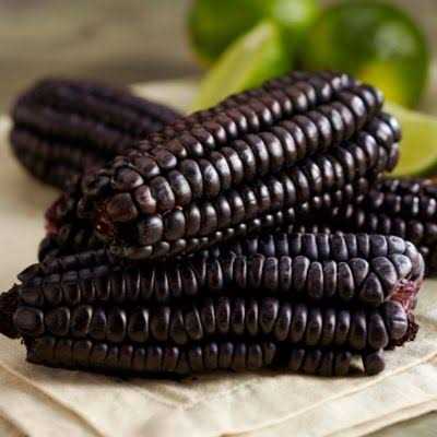 Purple Corn Cob S474669