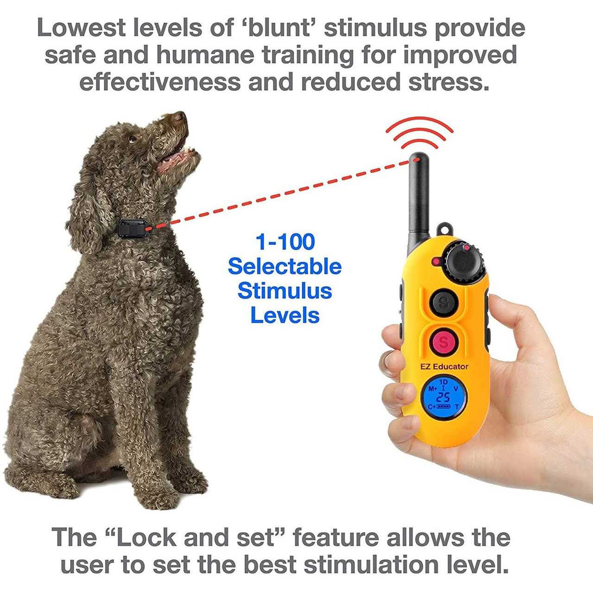Remote Dog Training Collar with Vibration B877