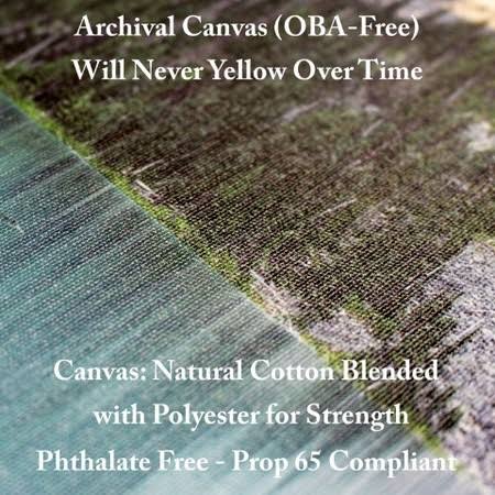 Canvas I389810