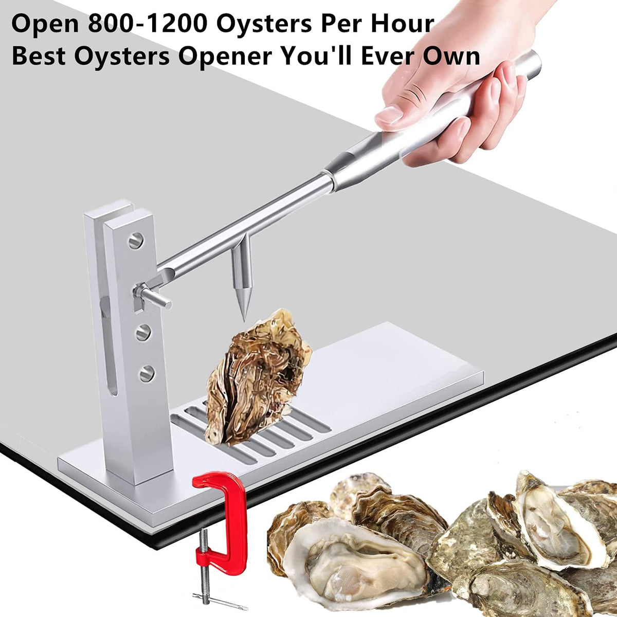 Stainless Steel Oyster Shucker Tool Set G539694