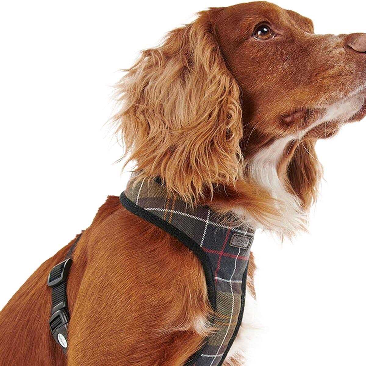 Tartan Dog Harness U6457