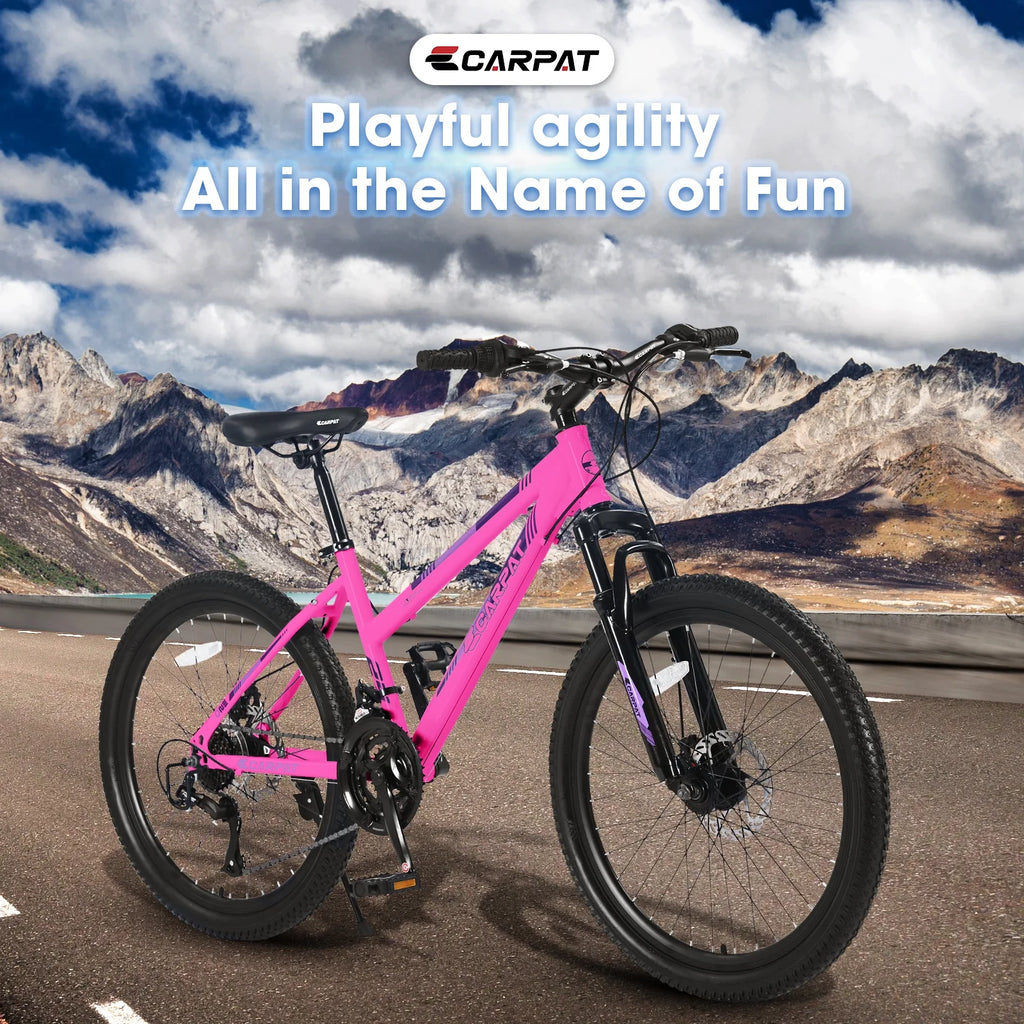 26 inch 21 Speeds Mountain Bike with Dual Disc Brakes U48052