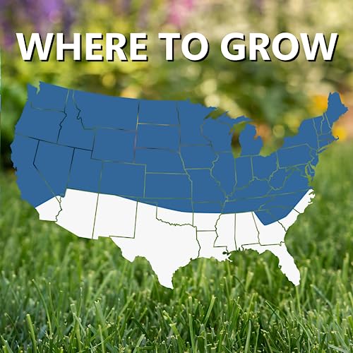 Cool Season Grass Seed Fertilizer Mulch 13.5 lb O276041