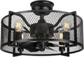 20'' Black Caged Ceiling Fan with Lights and Remote F390264