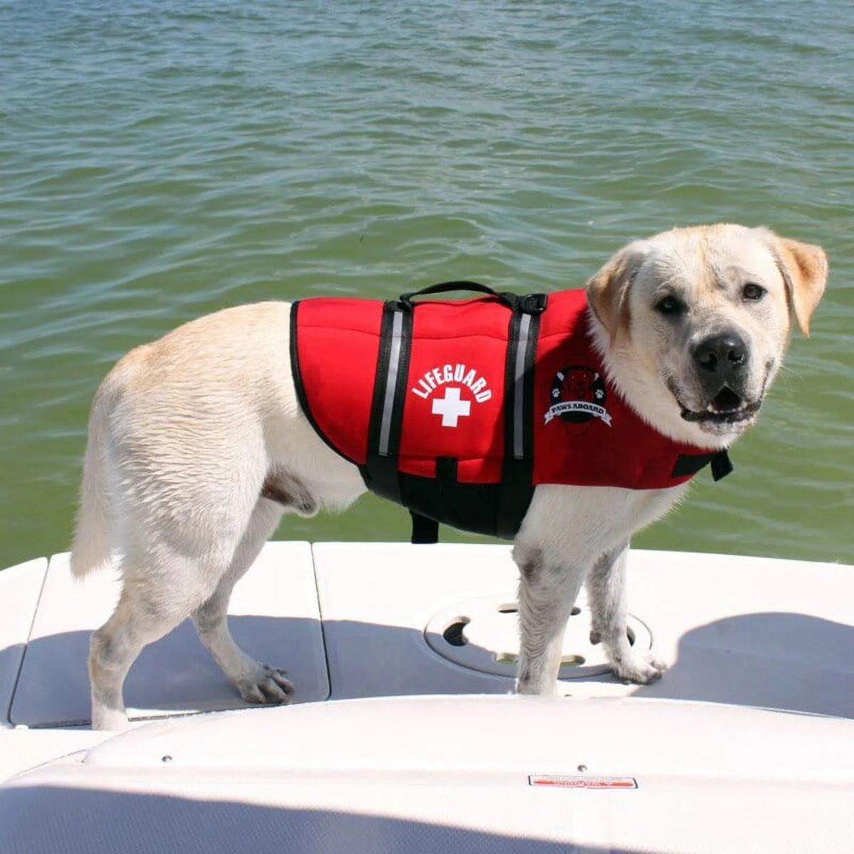 Red X-Small Neoprene Dog Life Jacket X287