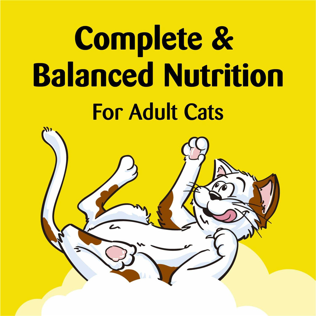 Cat Treats F29569