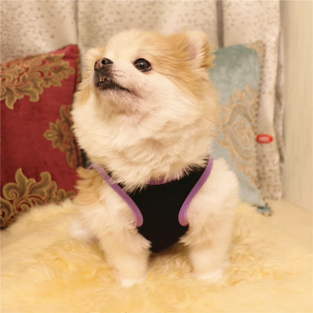 Dog Life Jacket with Rescue Handle, Reflective Adjustable Life Vest U5857