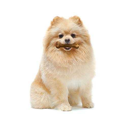 Healthy Edibles Dog Treats Y91296