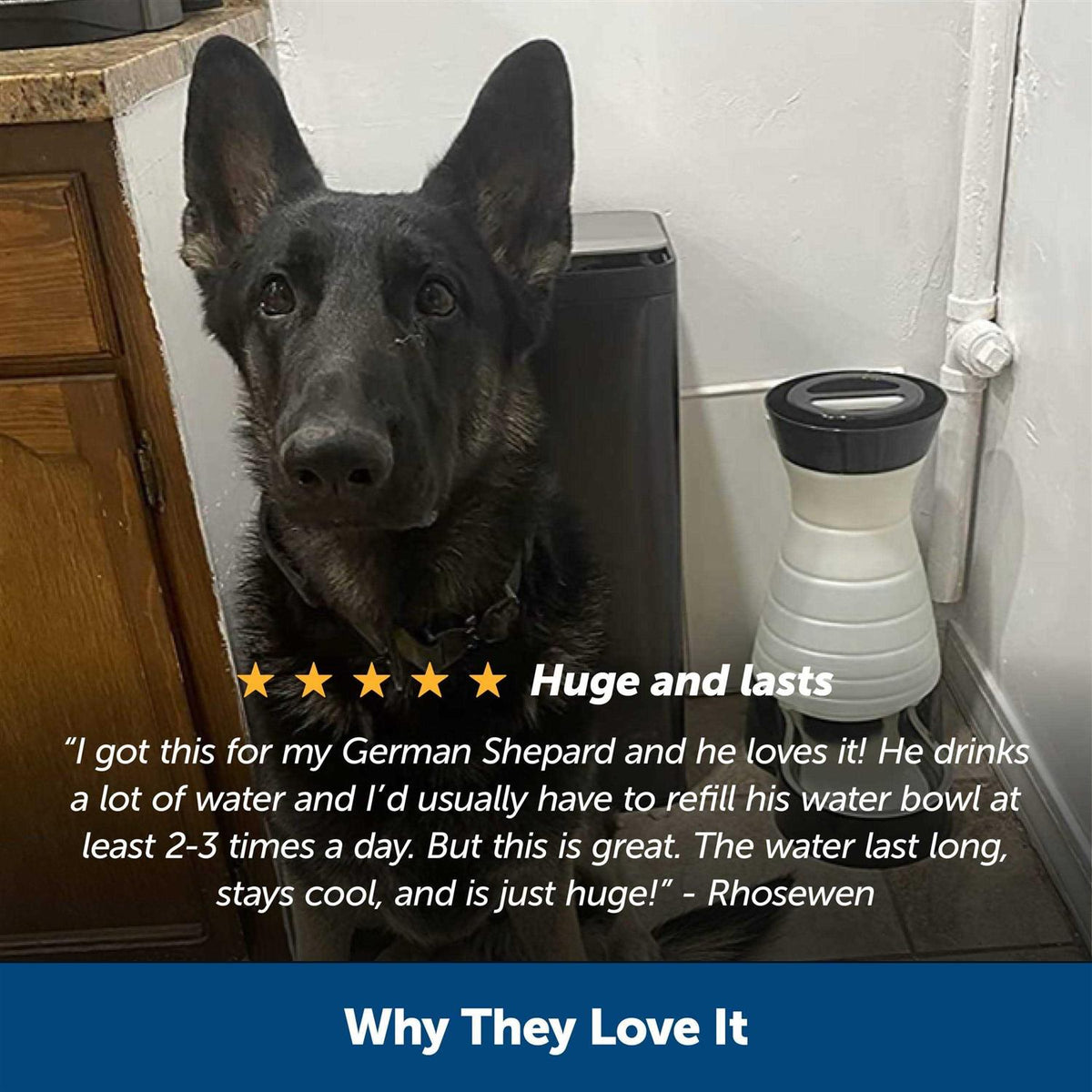 Healthy Pet Water Station E603259