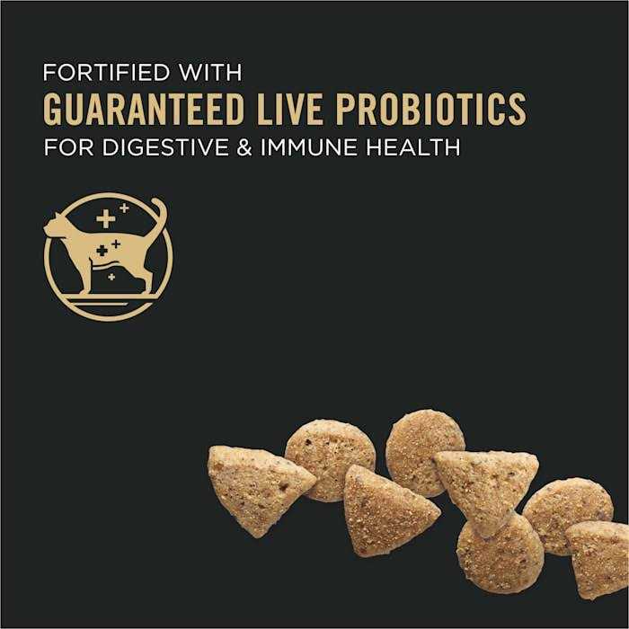 Grain Free High Protein Natural Dry Kitten Food G70150