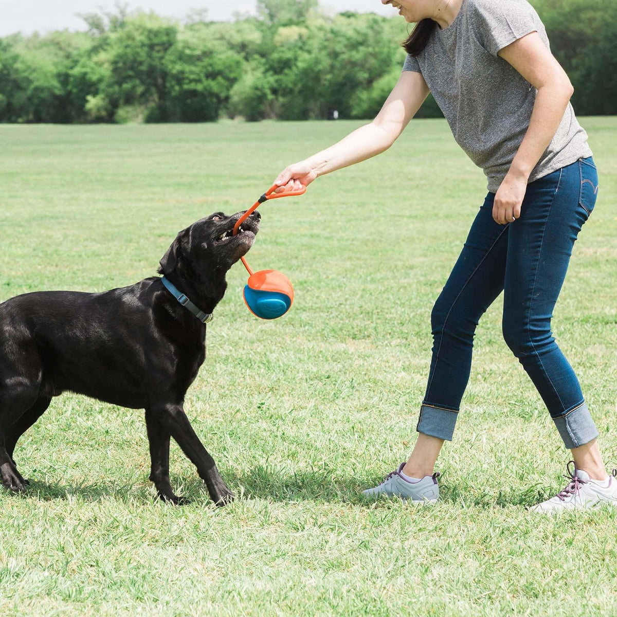 Rope Fetch Dog Toy Y2830