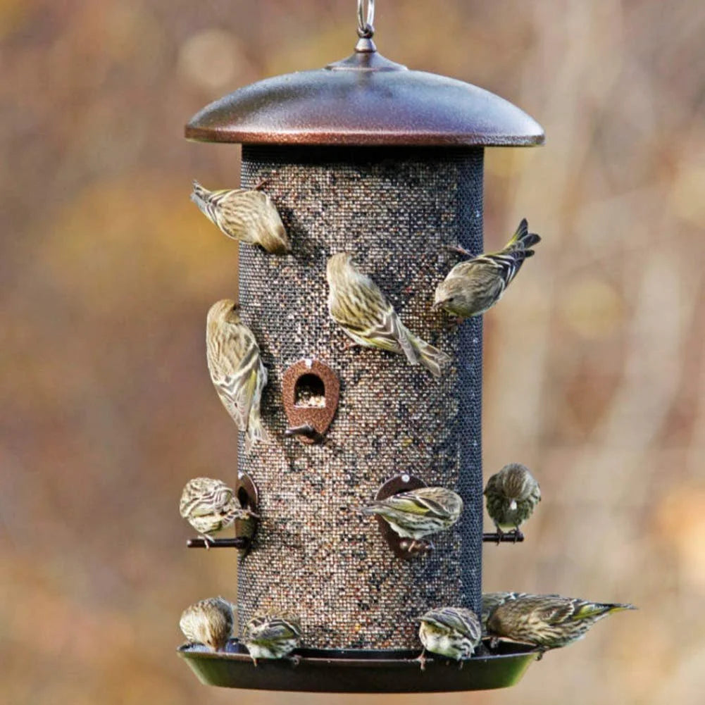 Black Finish Bird Feeder with 2 Seed Compartments Z379610