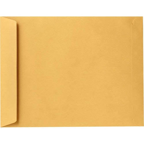 Jumbo Envelopes 28lb. Brown Kraft 250 Qty. Z999761