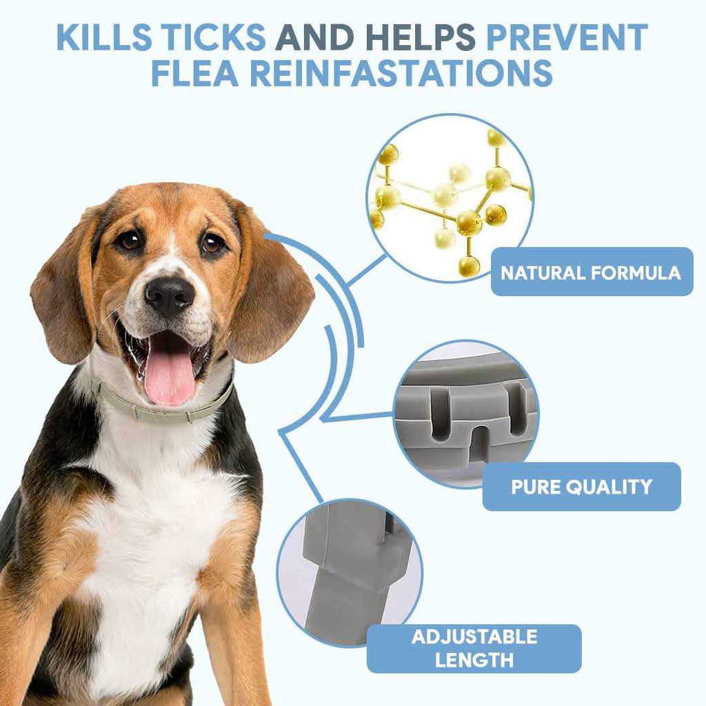 Flea & Tick Repellent Dog Collar E726095