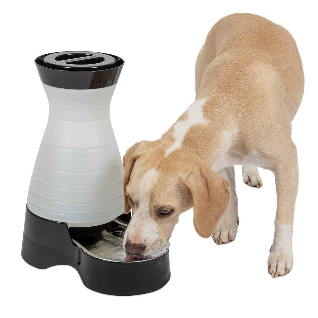 Healthy Pet Water Station E603259