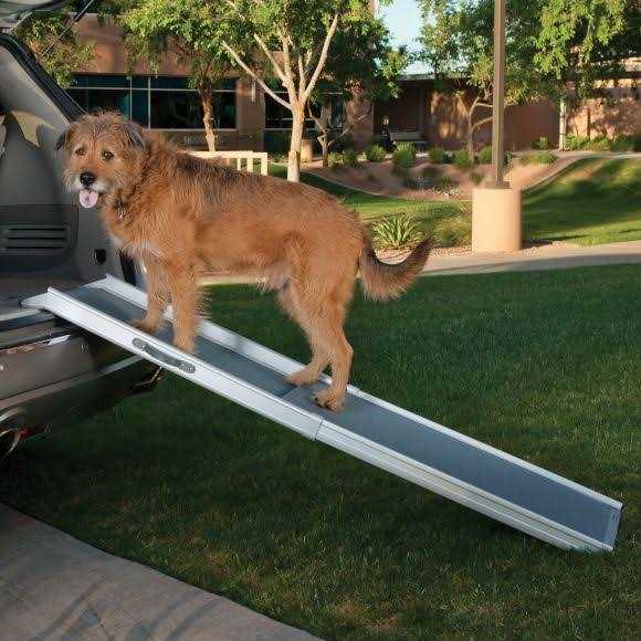 Grey Telescoping Pet Ramp C800559