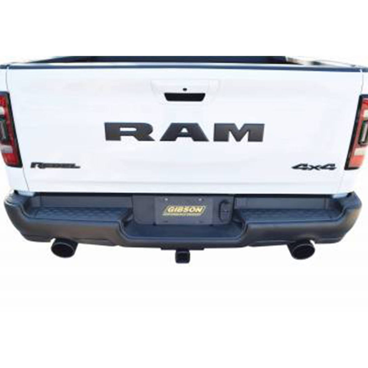 Cat Back Dual Split Exhaust System T28373