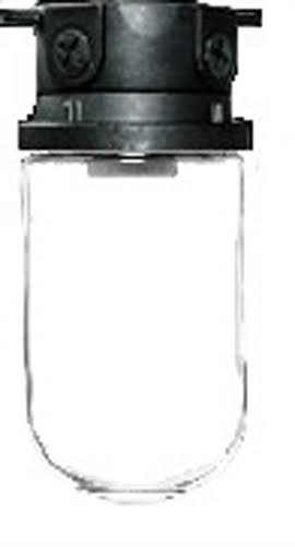 Vapor Proof 200 Box Black with Glass Globe J737589