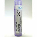 Cocculus indicus 200CK 80 plts N974