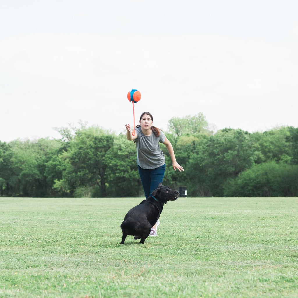 Rope Fetch Dog Toy Y2830