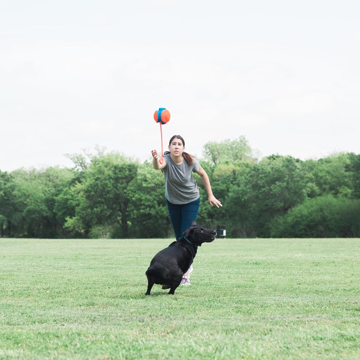 Rope Fetch Dog Toy Y2830