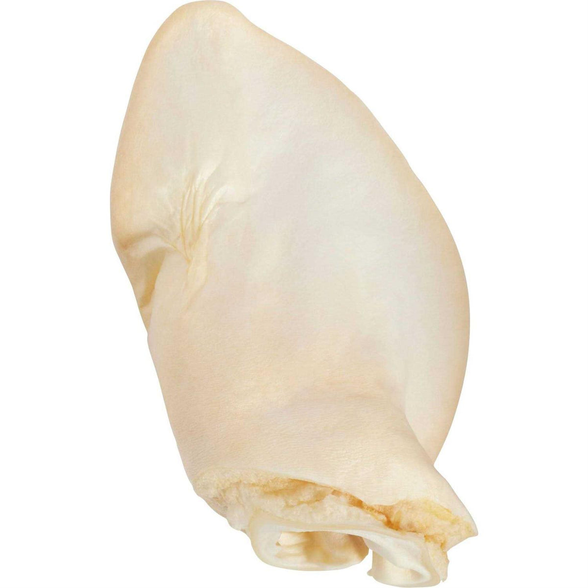Cow Ears I36120