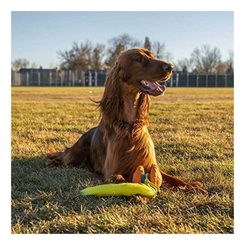 Replacement Tails Dog Toy S587