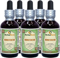Heimia Salicifolia Alcohol-Free Liquid Extract 5x2 fl.oz R564