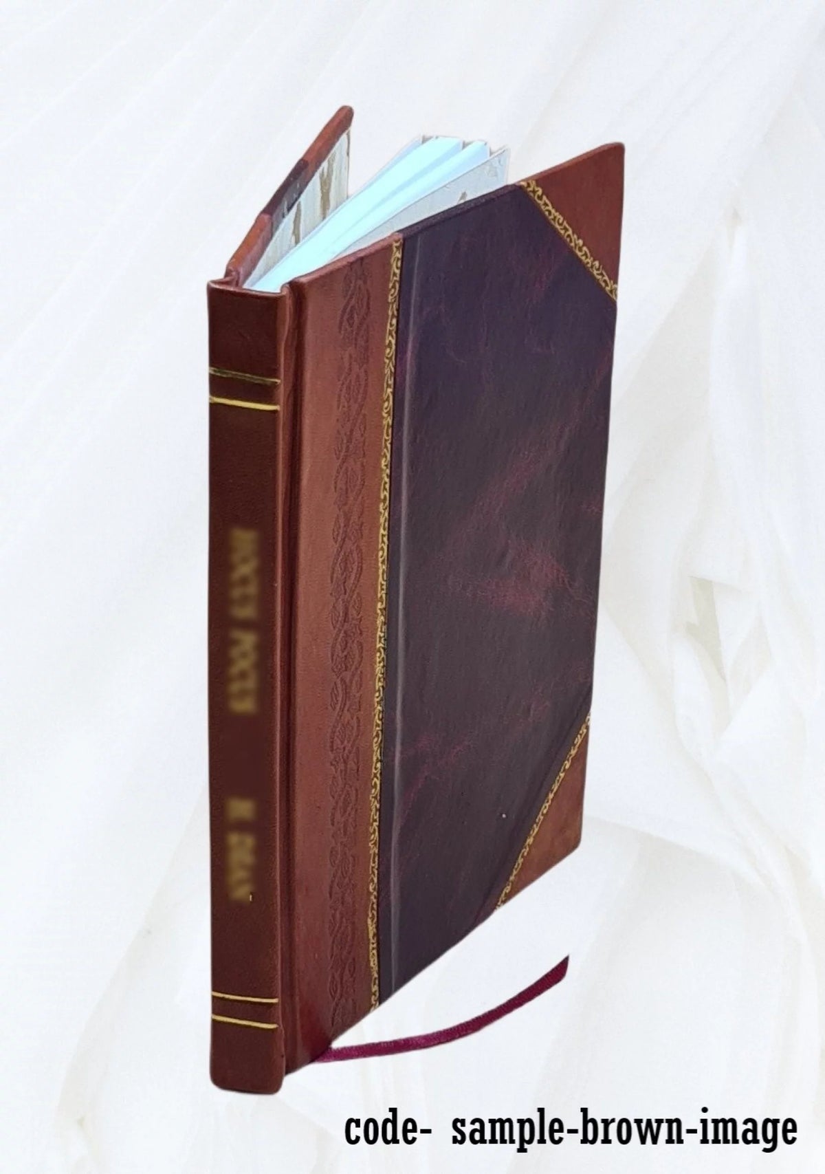 Leather Bound Book S867