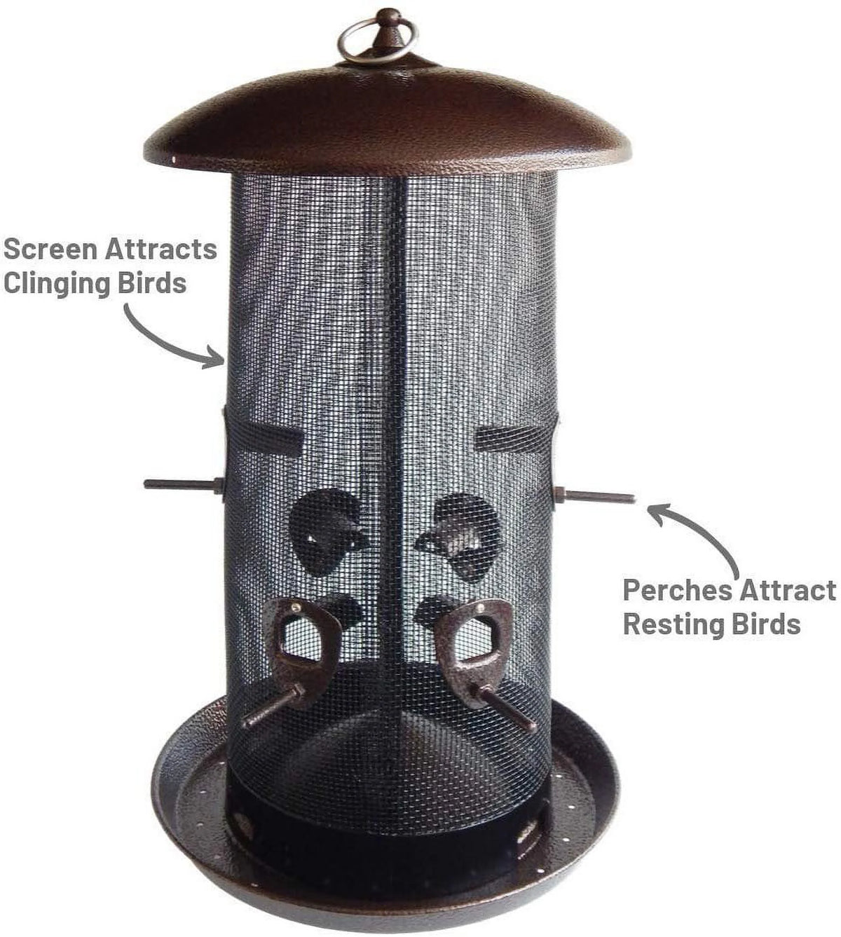 Black Finish Bird Feeder with 2 Seed Compartments Z379610