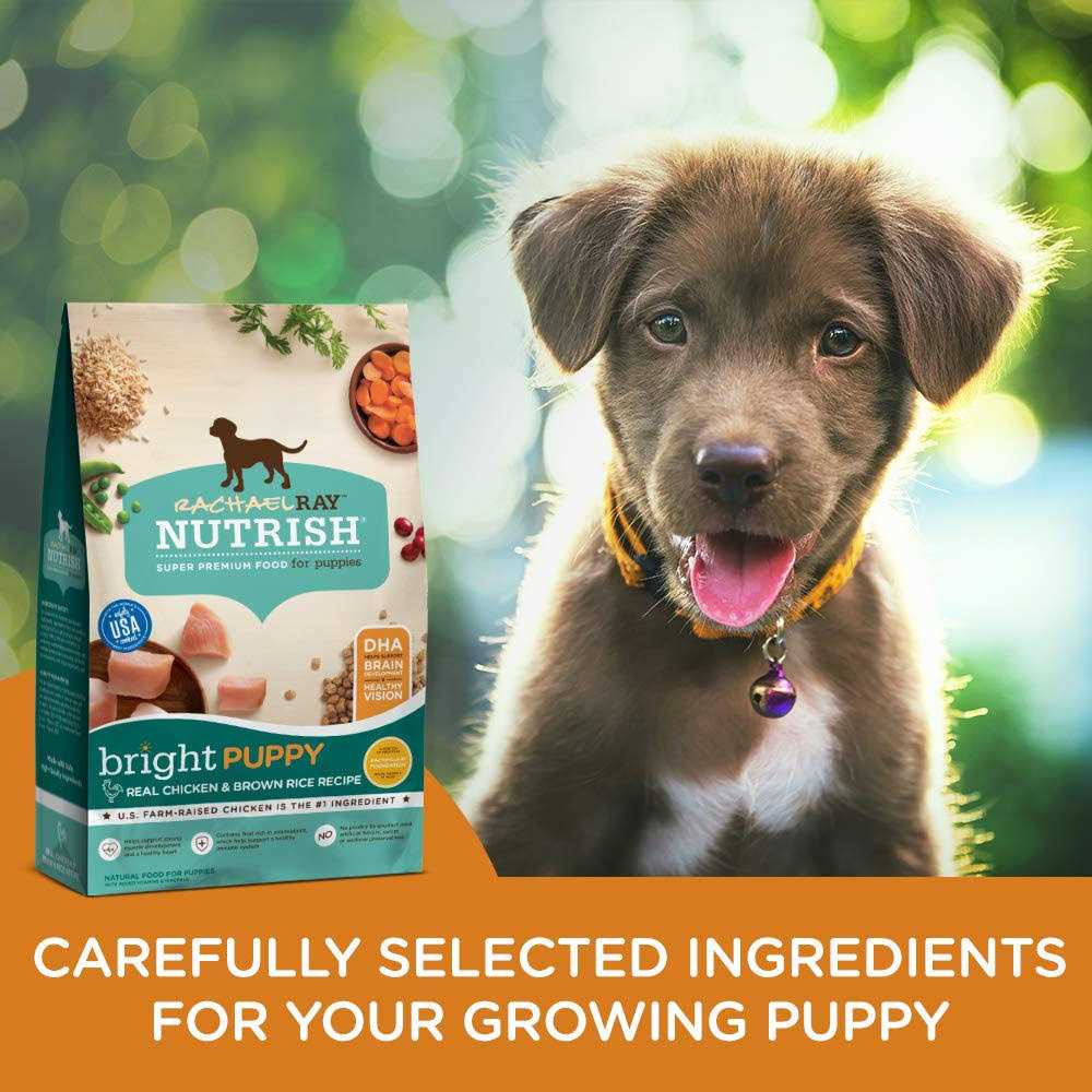 Chicken & Brown Rice Dry Dog Food H2310