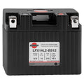 Lithium-Iron Battery L527409