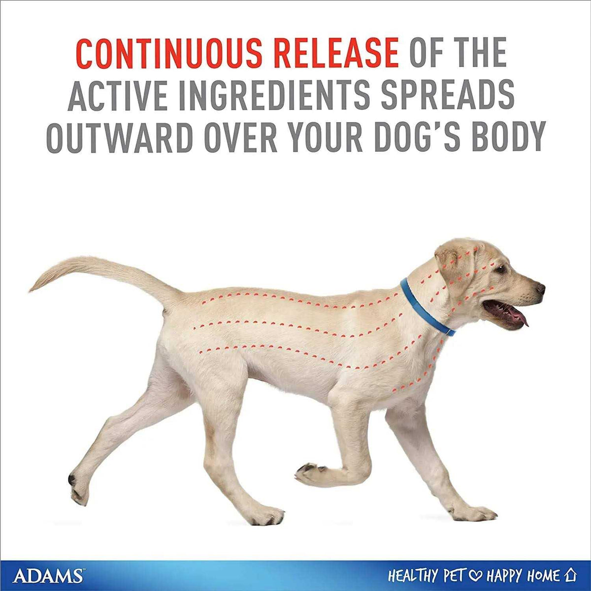 Flea & Tick Collar for Dogs G499397