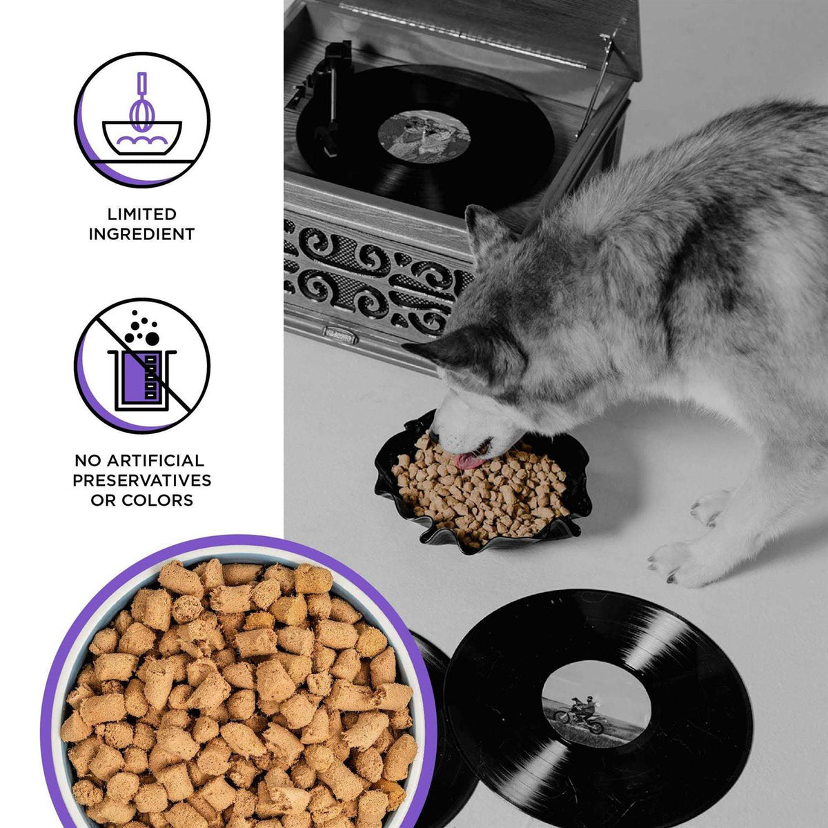 Freeze-Dried Dog Food P5432