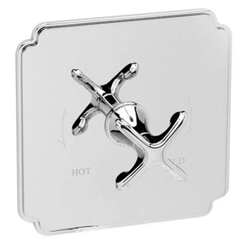 Balanced Pressure Shower Trim Plate with Lever Handle B246405
