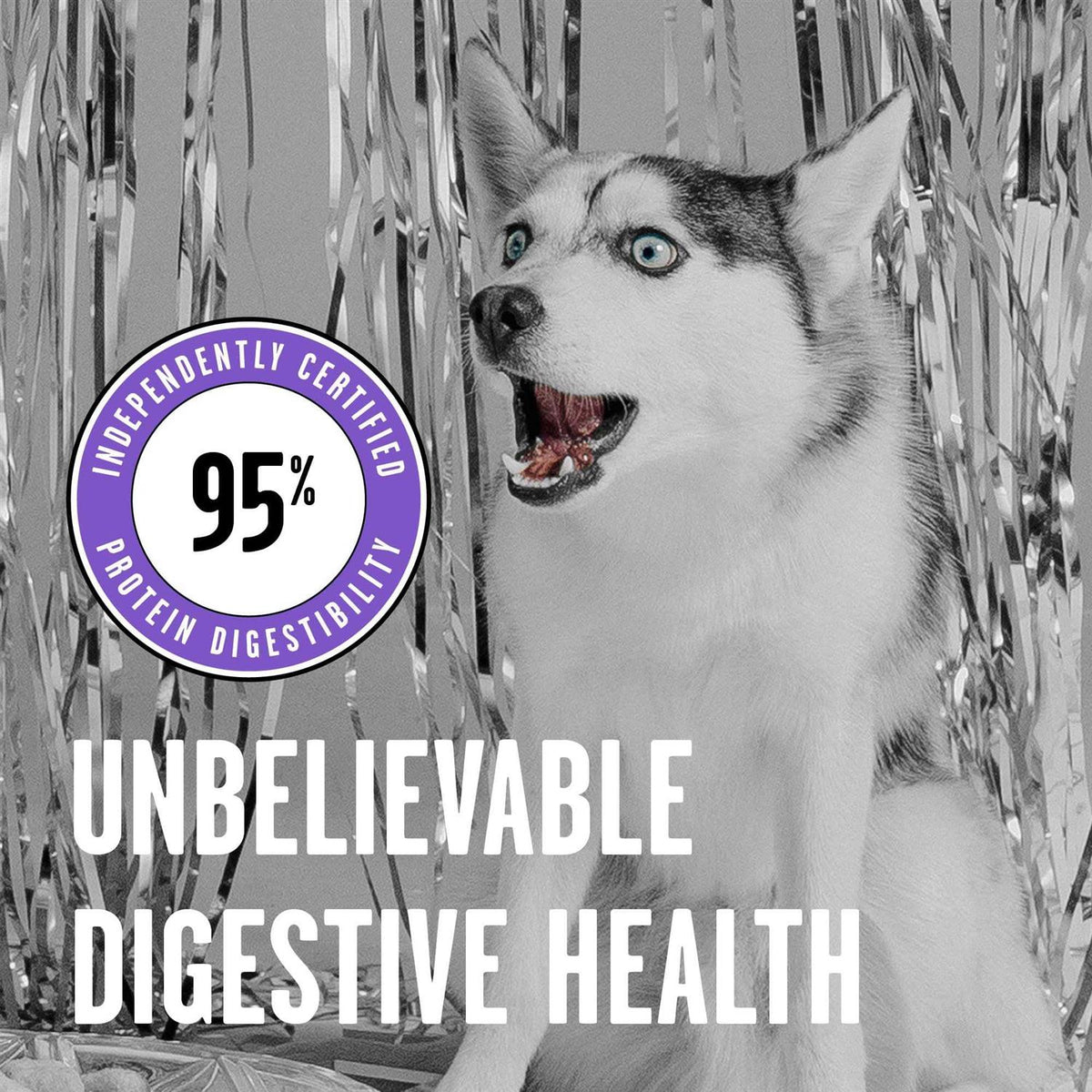 Freeze-Dried Dog Food P5432