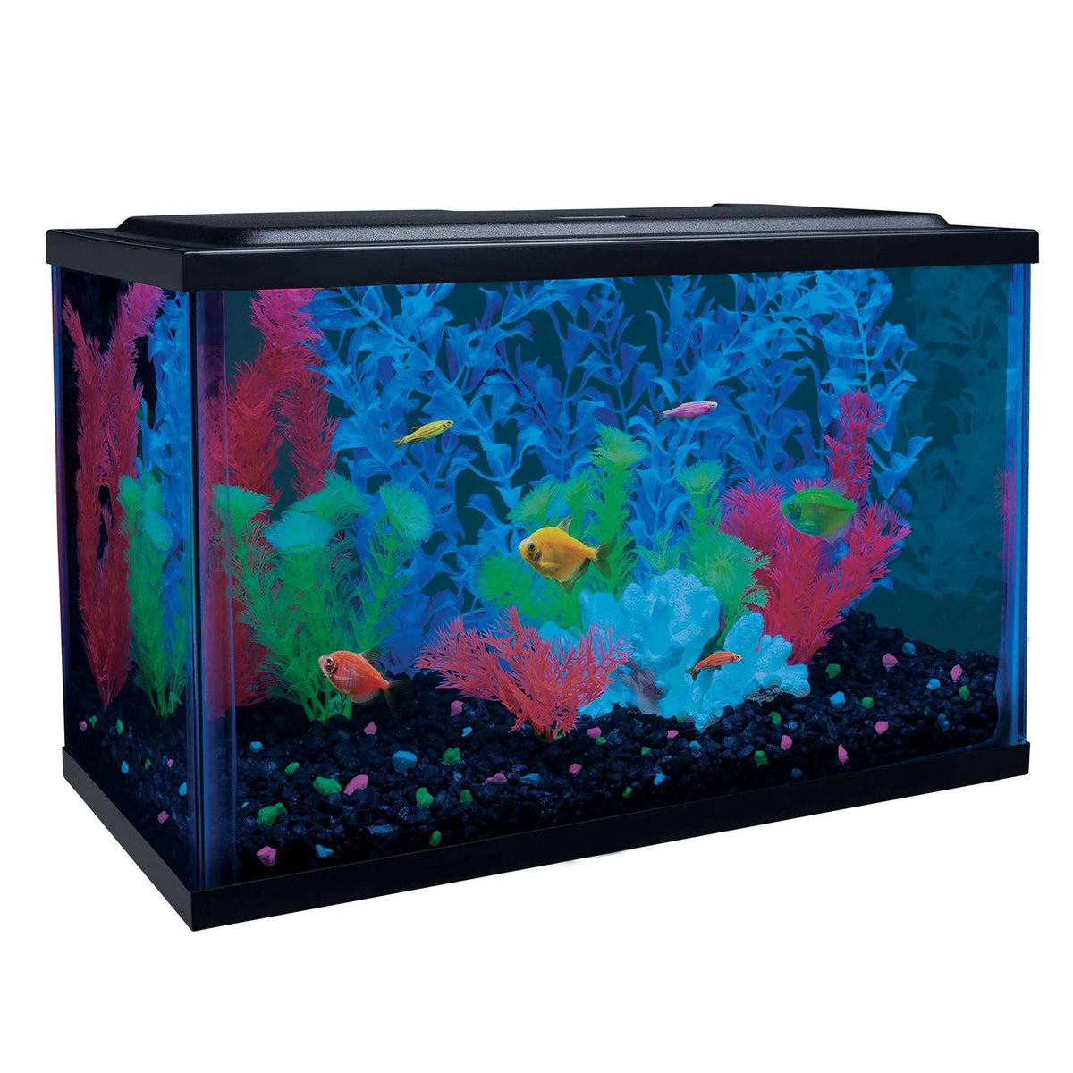 5-Gallon Aquarium Kit with LED Filter W1559