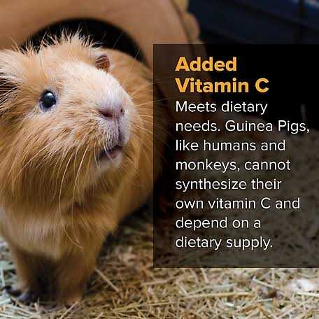 Guinea Pig Pellets O79835