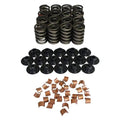 Valve Spring & Retainer Kit D523285