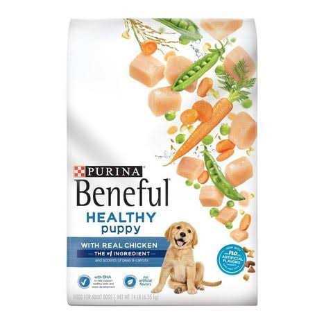Chicken Dry Dog Food H802128